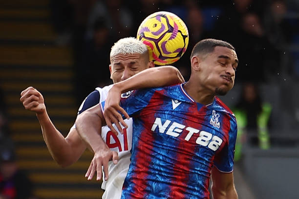 鹈鹕的未来 鹈鹕的未来